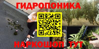 спиды Тара