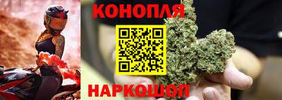 дживик Тверь