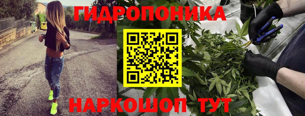 Канабис OG Kush  Вход с VPN  Марихуана AK-47  Конопля AK-47  Мытищи 
